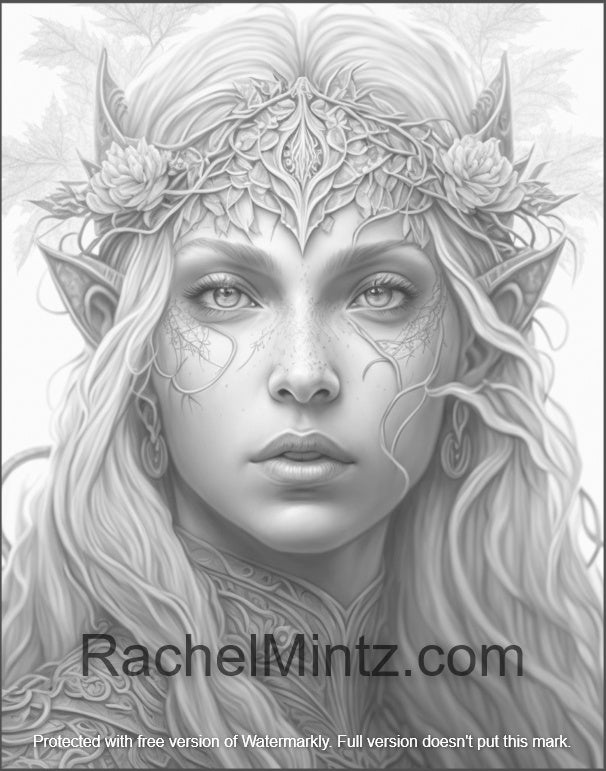 The elf of paladin