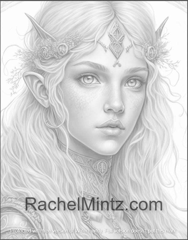 The elf of paladin