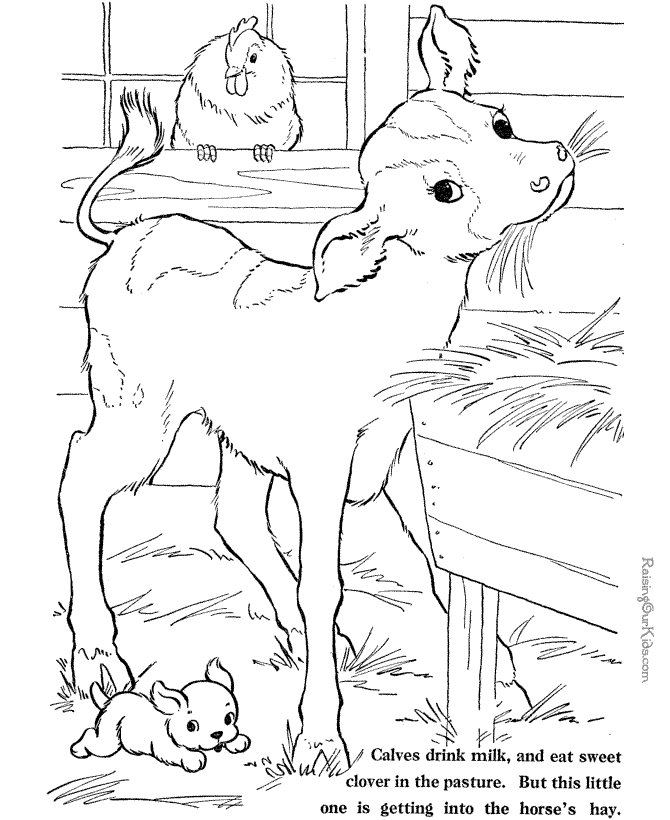 Little calf farm coloring page