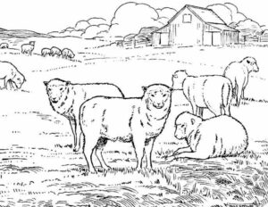 Printable farm coloring pages for kids that farm needs some color