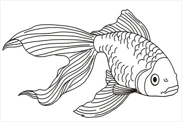 Fish coloring pages