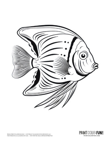 Free fish coloring pages color clipart swim through a sea of creativity activities at