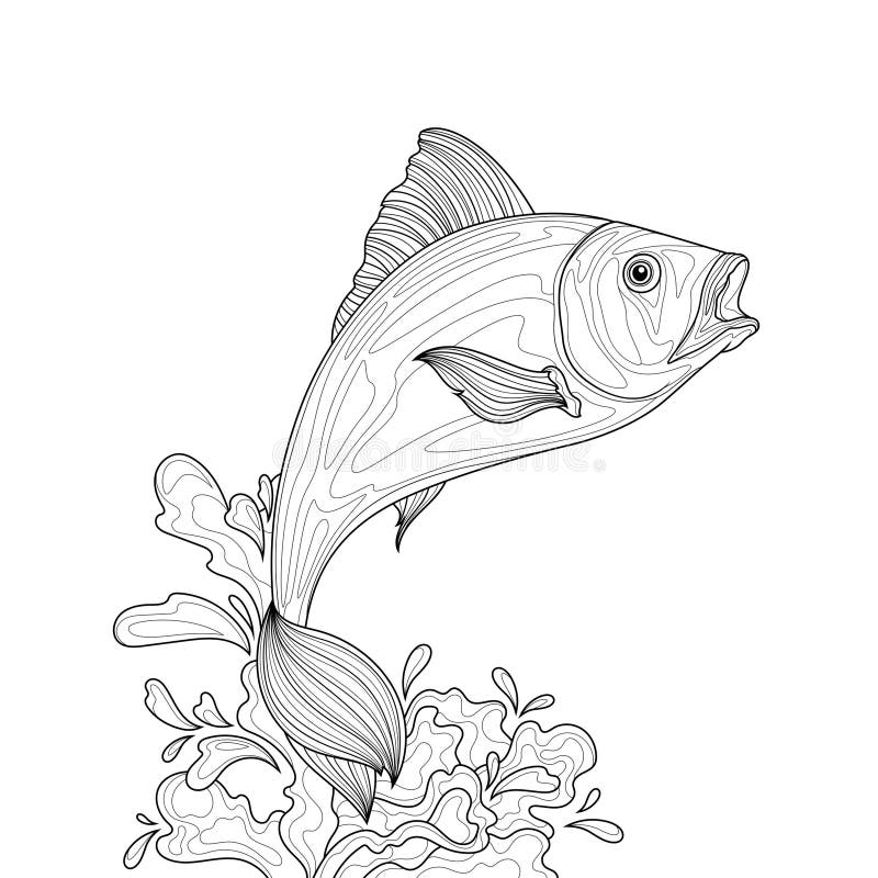 Freshwater fish coloring page stock illustrations â freshwater fish coloring page stock illustrations vectors clipart