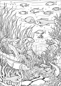 Fishes