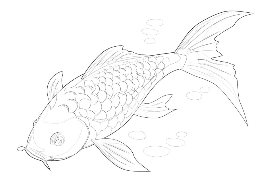 Free koi fish coloring page coloring pages mimi panda