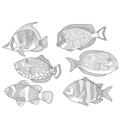 Underwater tropical fishes coloring page set vector image