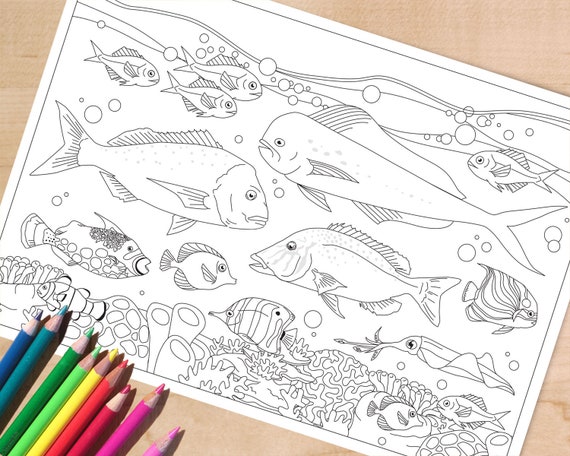 Printable fish coloring page adult colouring page for men fishing activity sheet
