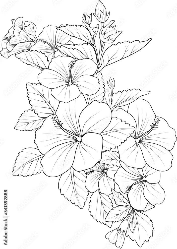 Hibiscus flower coloring pages realistic hibiscus flower coloring pages hand drawn flower hibiscus black outline drawing perfect coloring page for adults isolate on white background image clipart vector