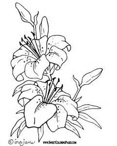 Realistic flower coloring pages
