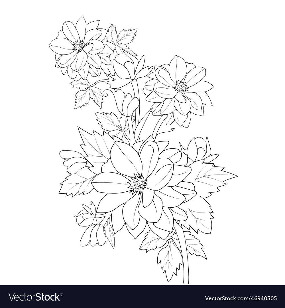 Realistic dahlia flower coloring pages royalty free vector