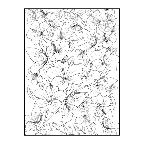 Hibiscus flower coloring pages for adusts realistic hibiscus flower coloring pages easy hibiscus flower coloring pages topicial flower hibiccus coloring pages printable hibiscus flower coloring pages stock illustration