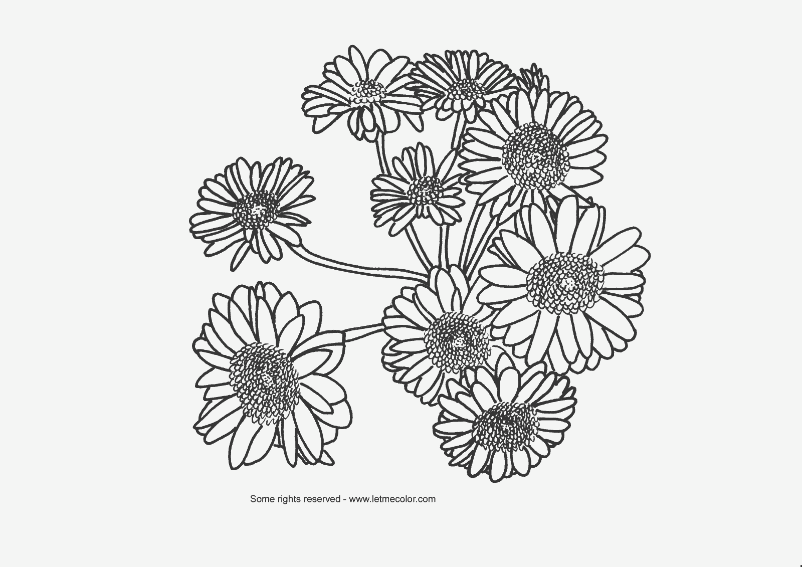 Realistic flowers coloring page