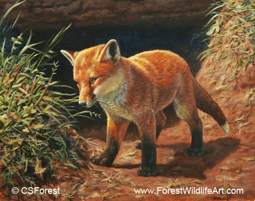 Crista forests animals art coloring book page