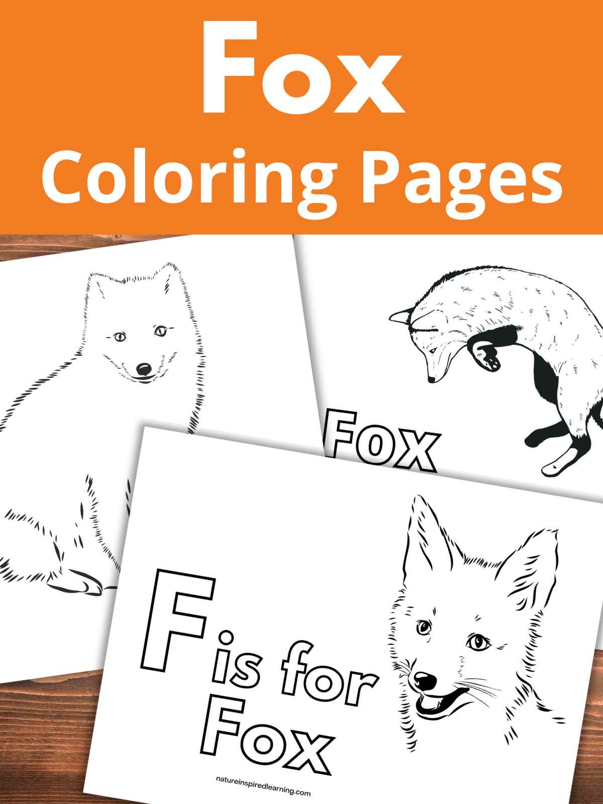 Realistic fox coloring pages