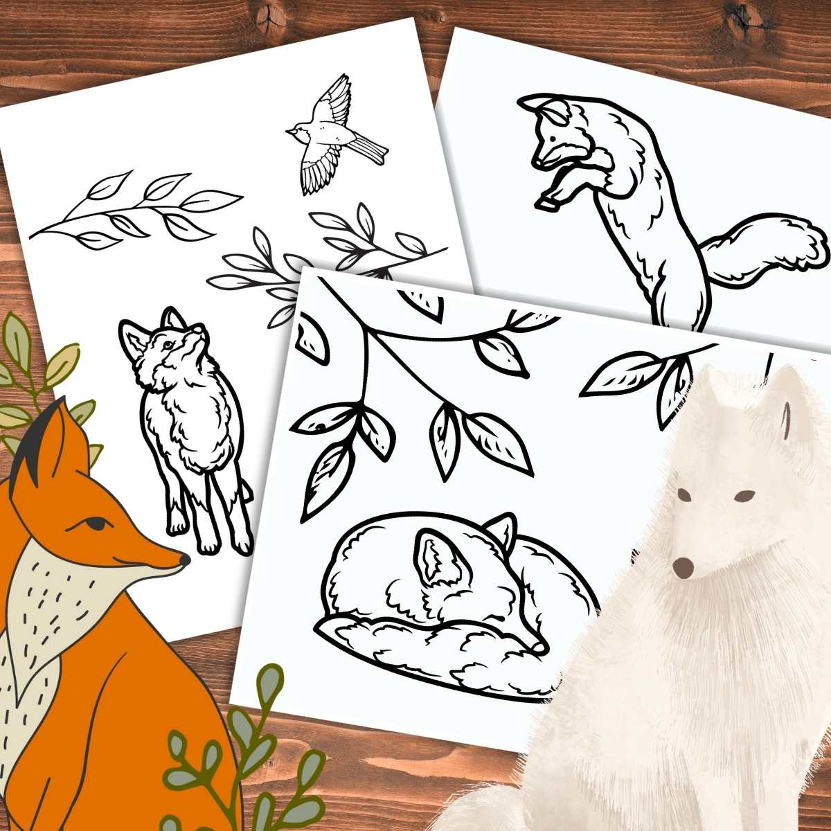 Realistic fox coloring pages