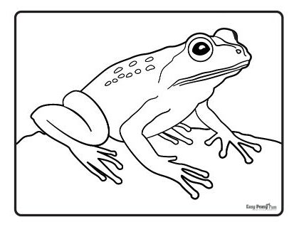 Frog coloring pages â printable coloring pages