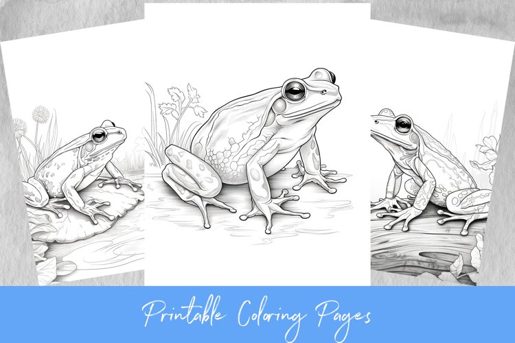 Frog coloring pages
