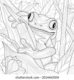 Thousand colorful frog royalty