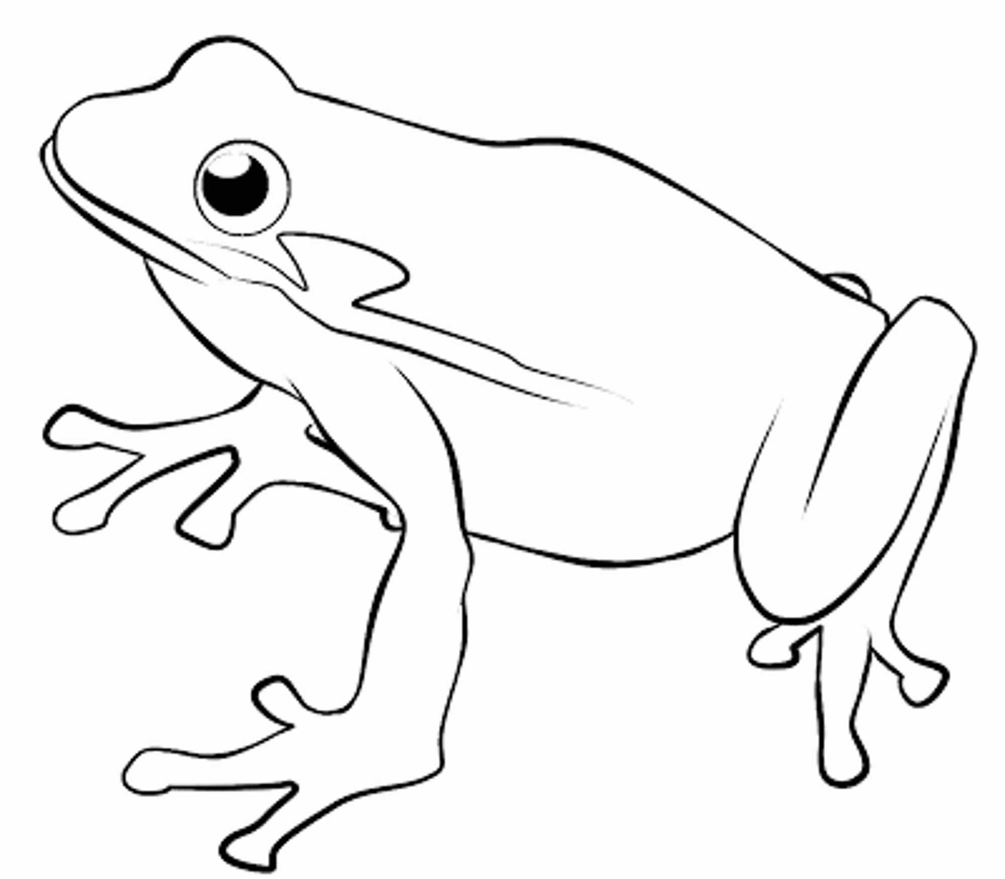 Astonishing frogs coloring pages frog coloring pages coloring pages for kids coloring pages