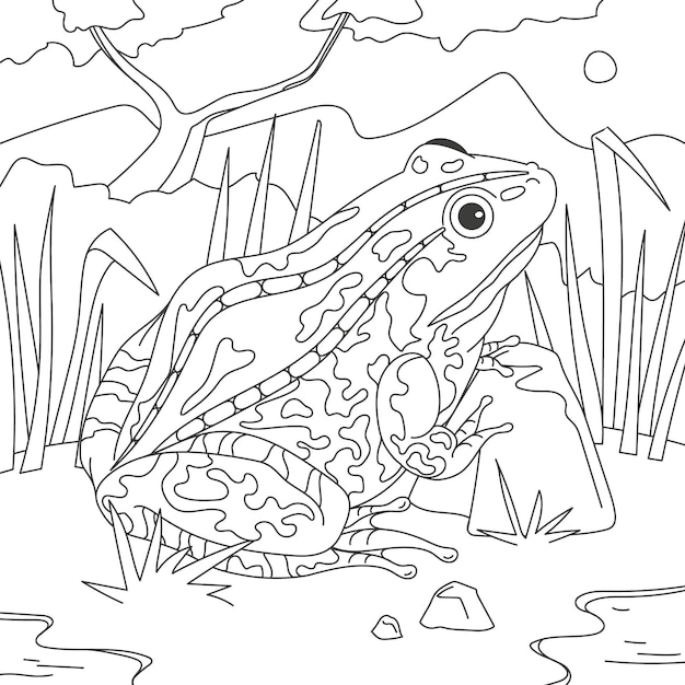 Free vector hand drawn frog for coloring