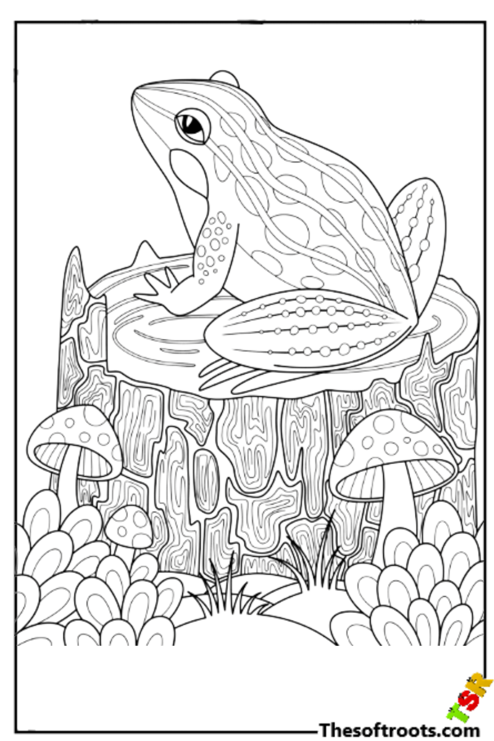Frog coloring pages rkidscoloringpages