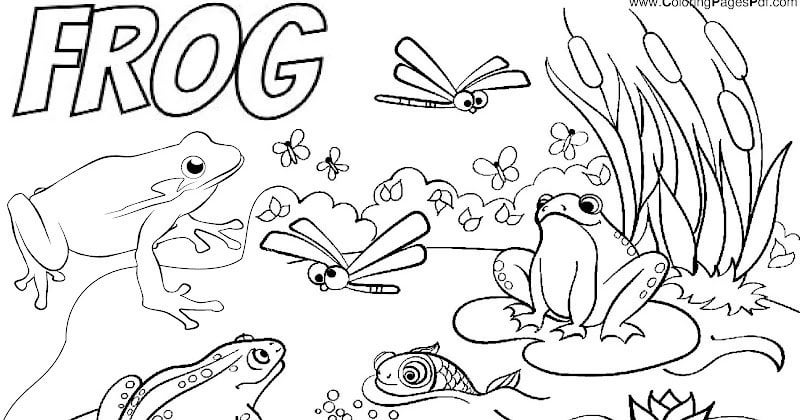 Realistic frog coloring pages rcoloringpagespdf