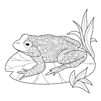 Frog coloring page realistic images