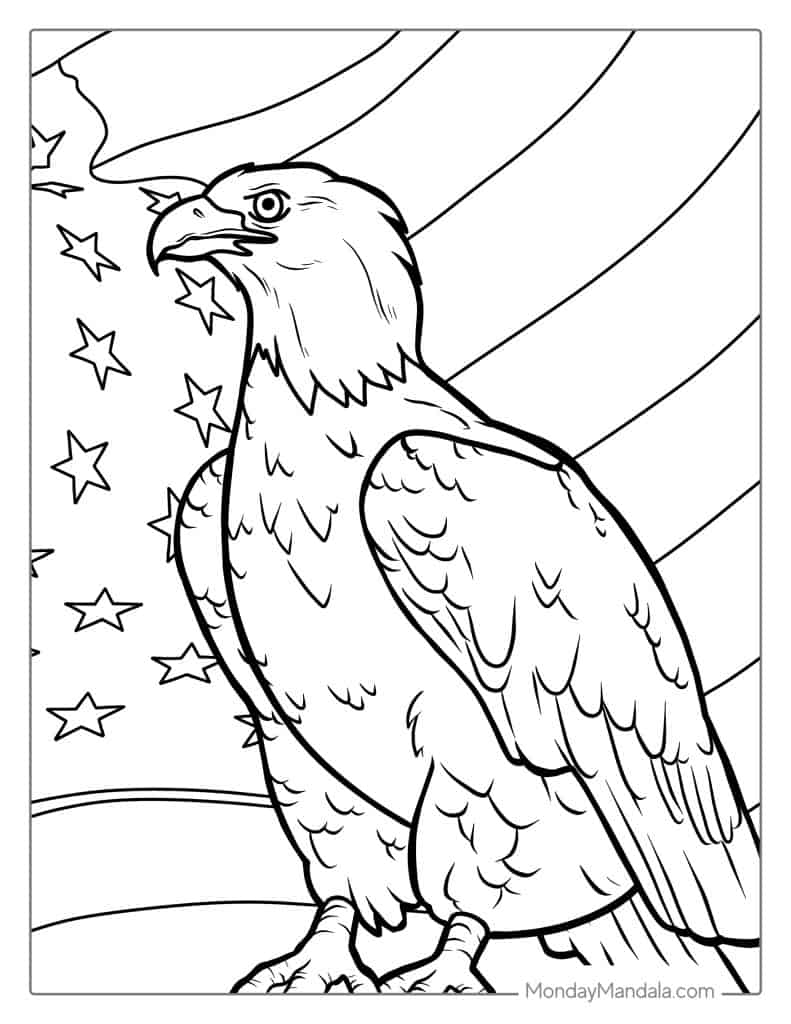Bald eagle coloring pages free pdf printables