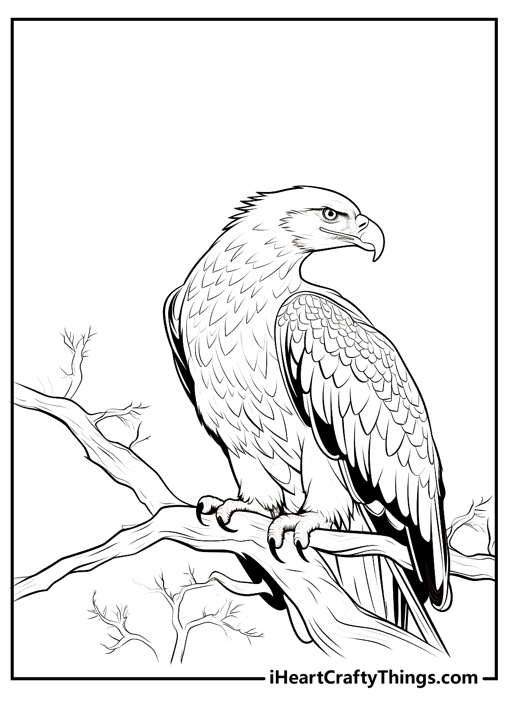 Bald eagle coloring pages updated