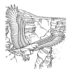 Cute eagle coloring pages for your little ones