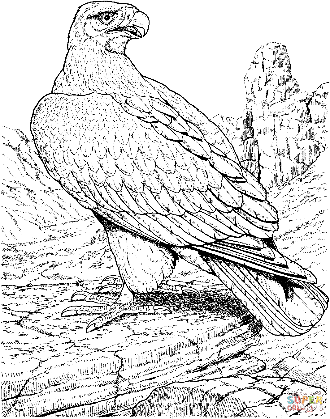 Eagle coloring page free printable coloring pages