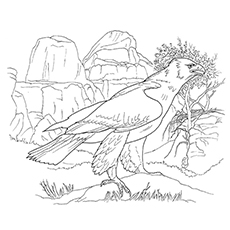 Cute eagle coloring pages for your little ones