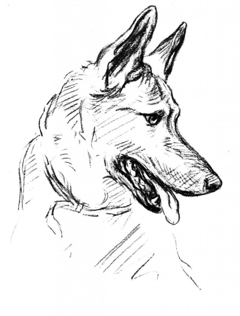 German shepherd coloring pages