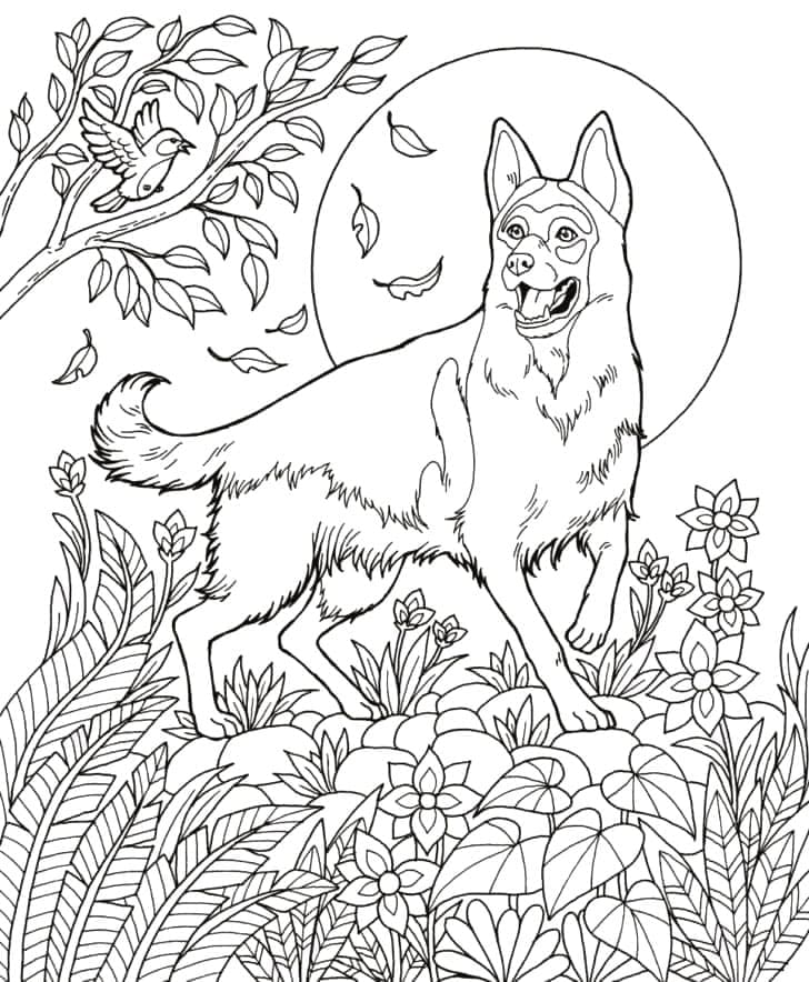 German shepherd coloring pages