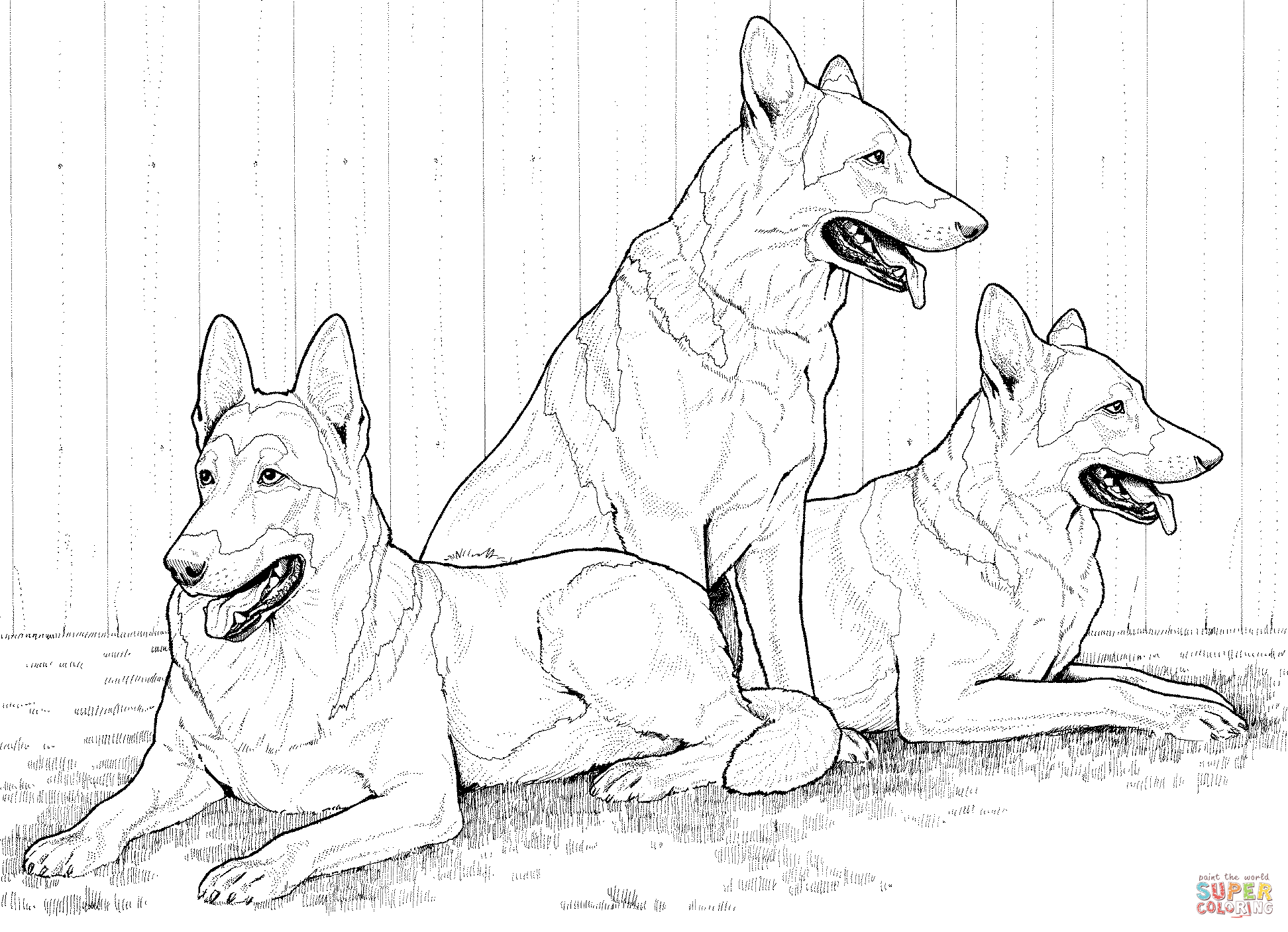German shepherd dogs coloring page free printable coloring pages