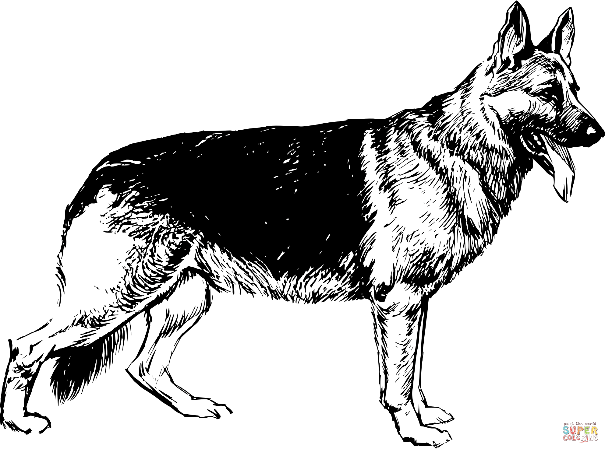 Vintage german shepherd coloring page free printable coloring pages