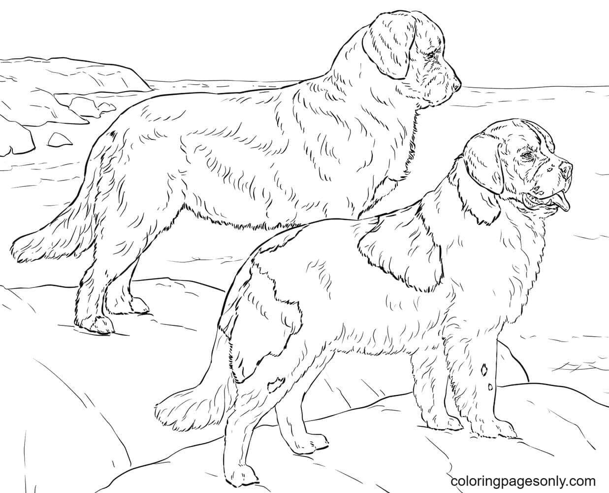 German shepherd coloring pages printable for free download