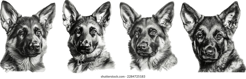 Realistic head german shepherd dog vector stock vector royalty free