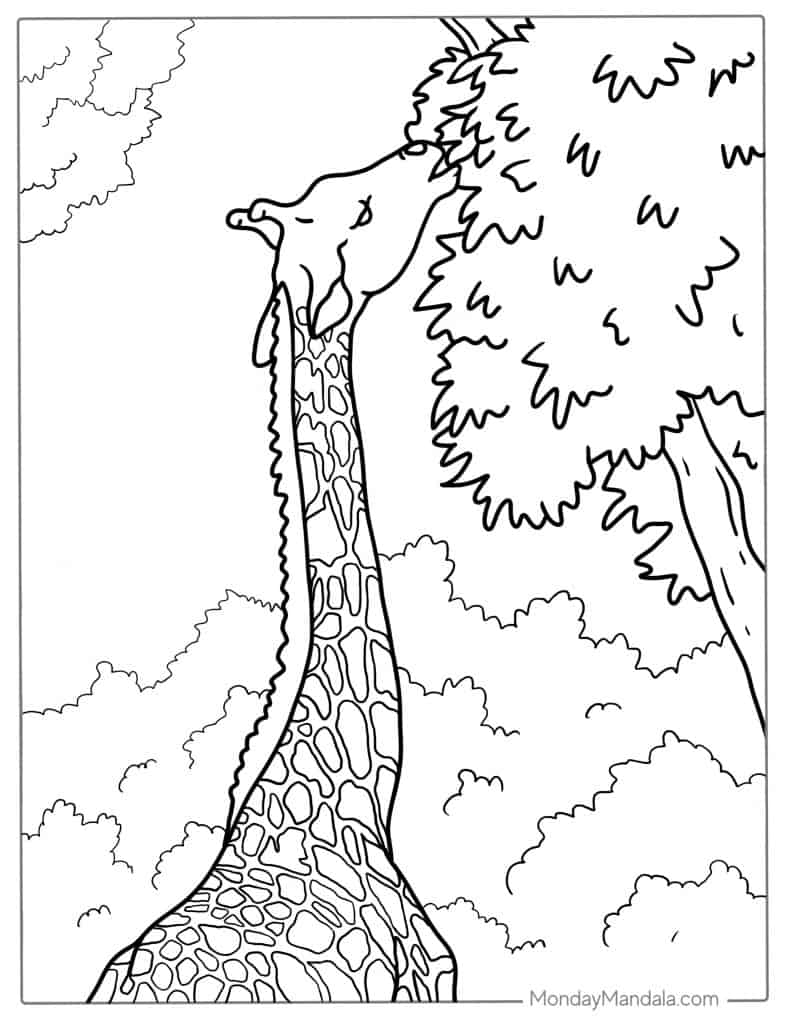Giraffe coloring pages free pdf printables