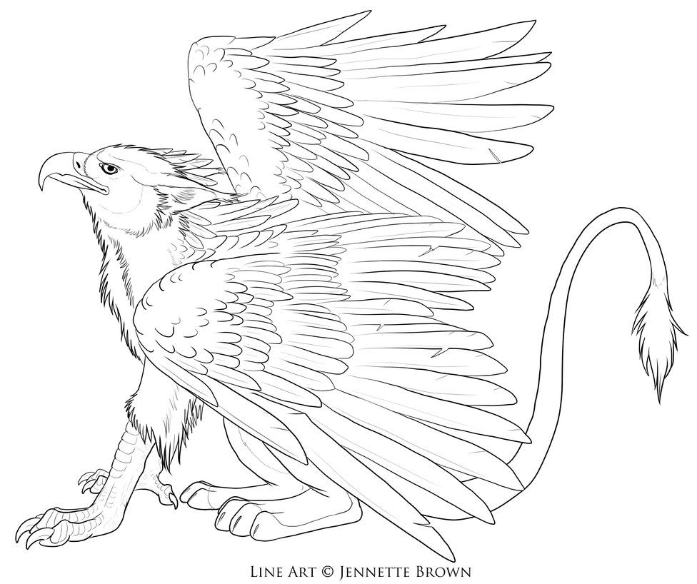 Free griffin lineart mythical birds fantasy drawings mythological creatures