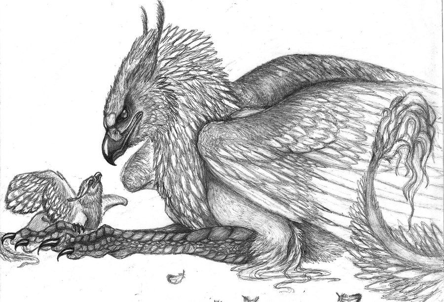 Updategriffin chick by siosin on deviantart fantasy artwork drawings griffin