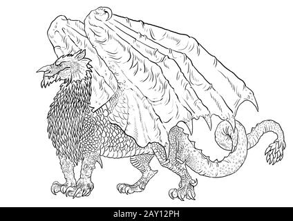 Dragon coloring page outline illustration dragon drawing coloring sheet stock photo