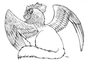 Griffin coloring pages free coloring pages