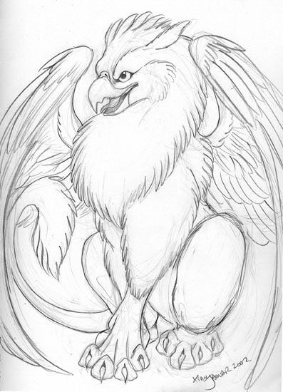 Griffin sketch gargoyle drawing art inspiration drawing creature drawings