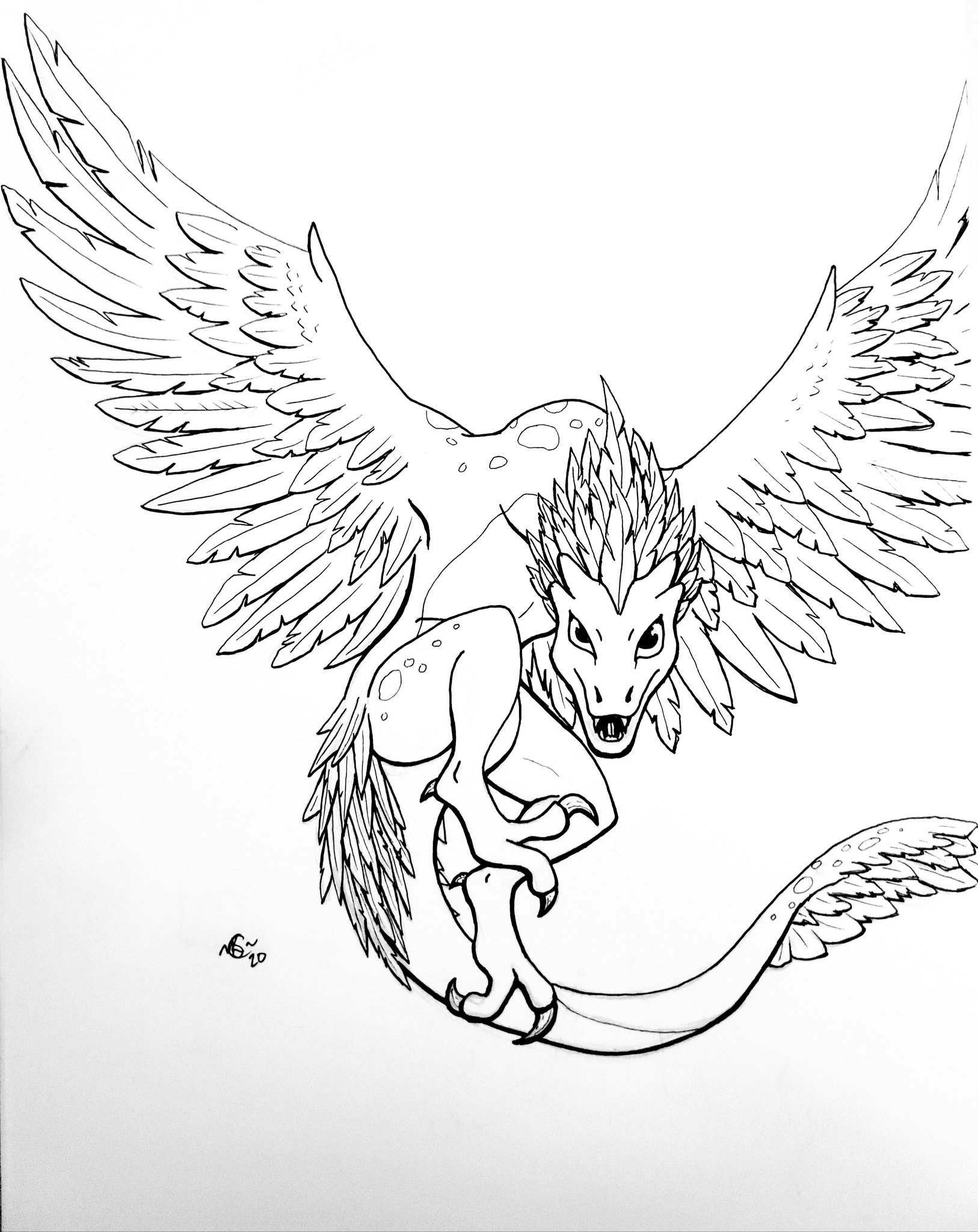 Katt watson on x new dragon drawing wyvern crossed with a phoenix dragon wyvern phoenix creature inkonpaper traditionalart httpstcooaaposoc x