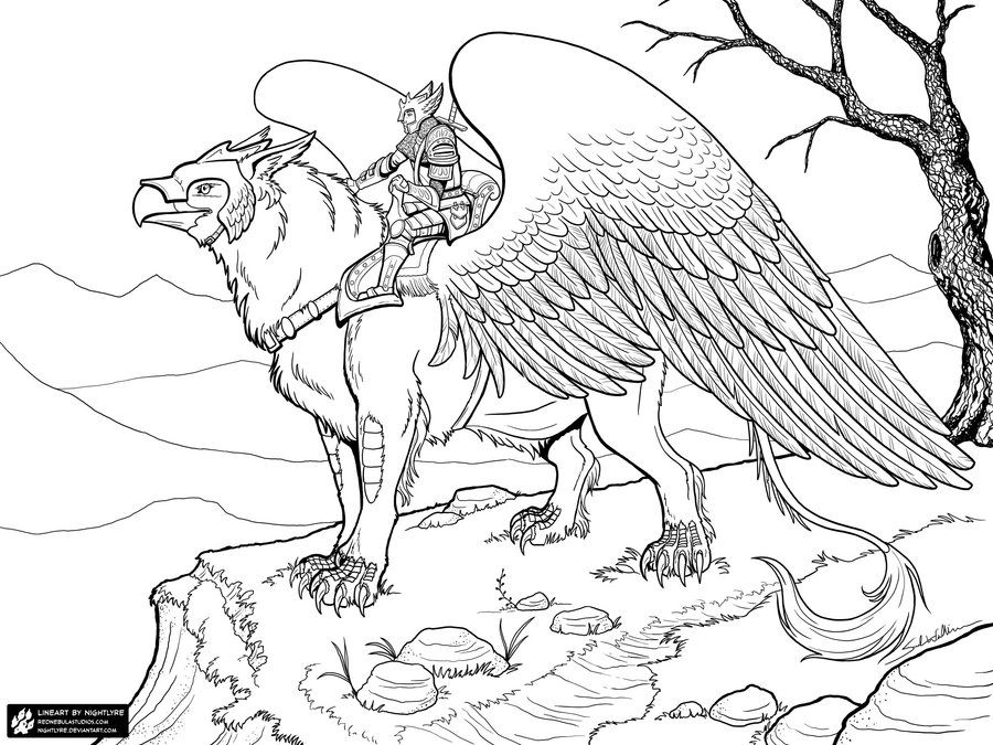 Griffon rider linet jpg version pãginas de colorir animais pãginas pa colorir pa adultos te personagens
