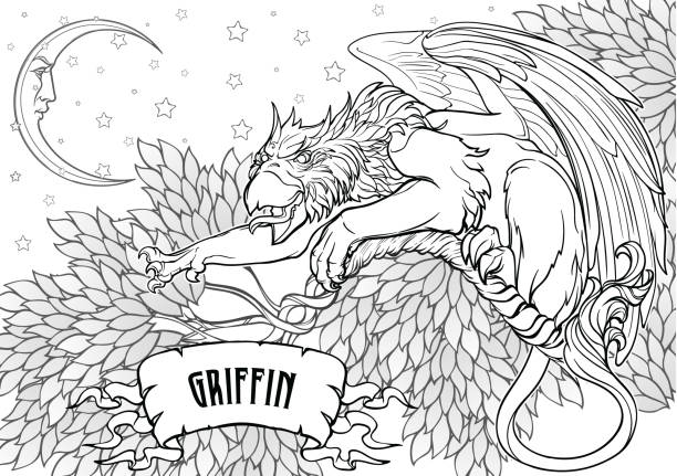 Griffin coloring page stock illustrations royalty