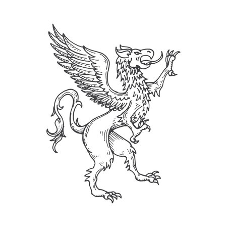 Griffin line art stock illustrations cliparts and royalty free griffin line art vectors