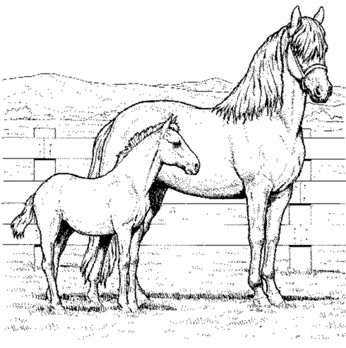 Free printable horse coloring pages for kids pãginas para colorear caballos caballo bebe o dibujar un caballo