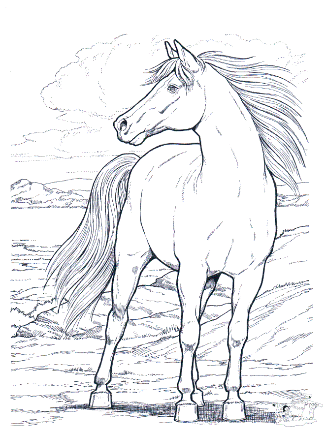 Free printable horse coloring pages for kids